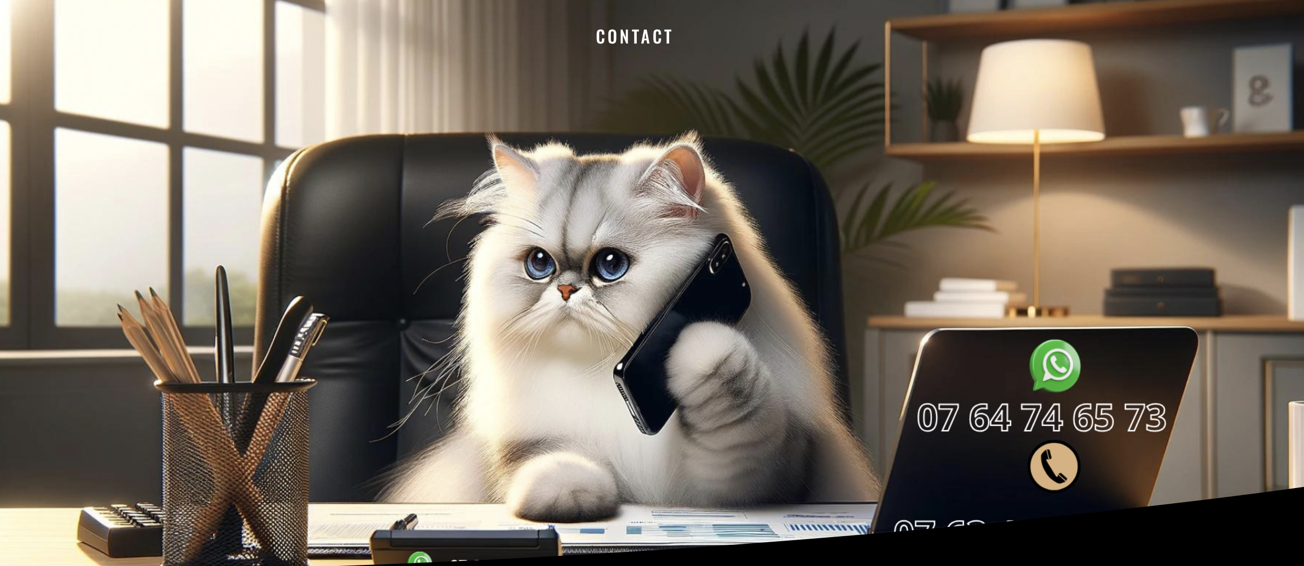 Site Web pour l'Élevage Félin Les Diamants du Royaume - Image 3