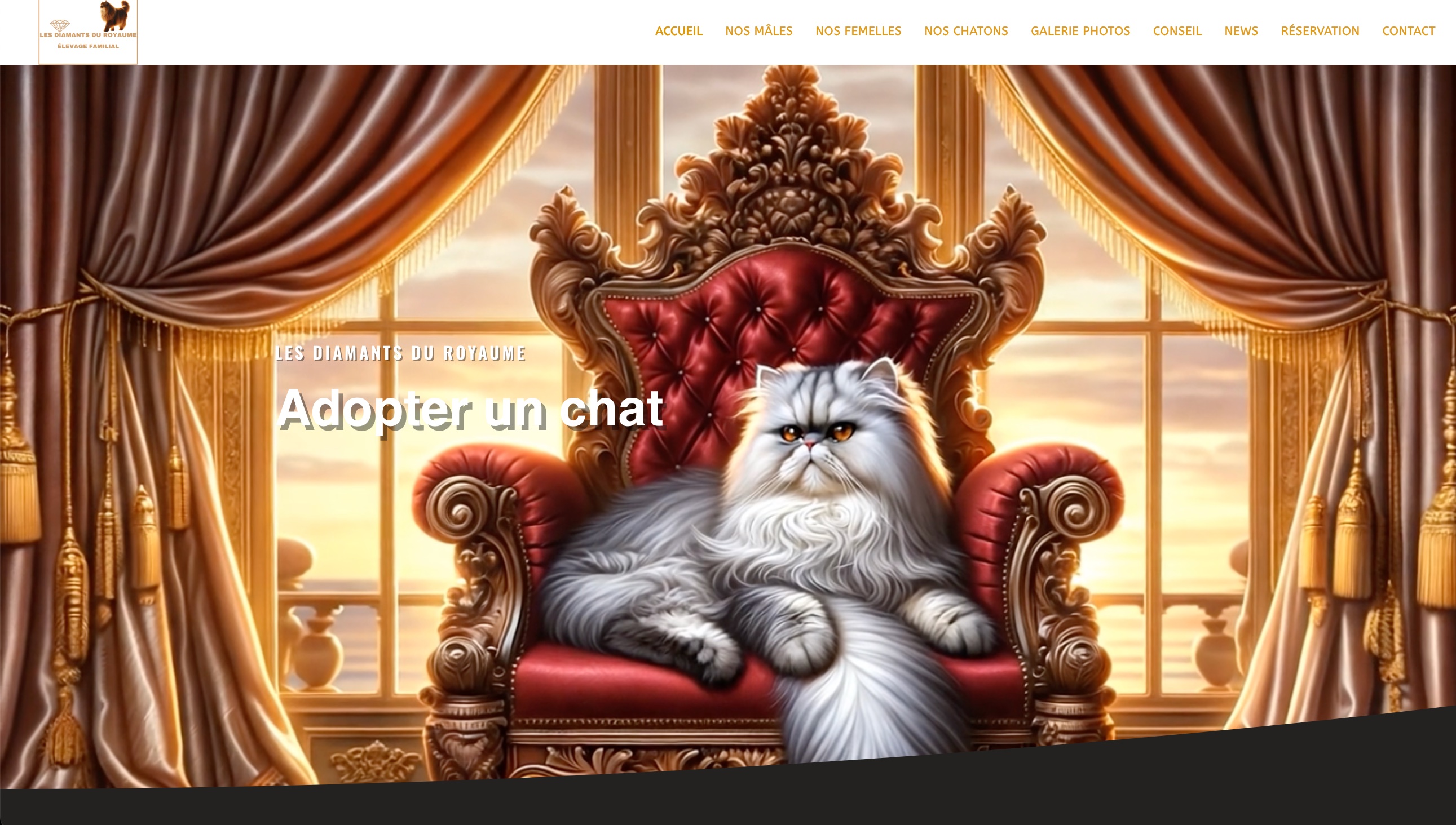 Site Web pour l'Élevage Félin Les Diamants du Royaume