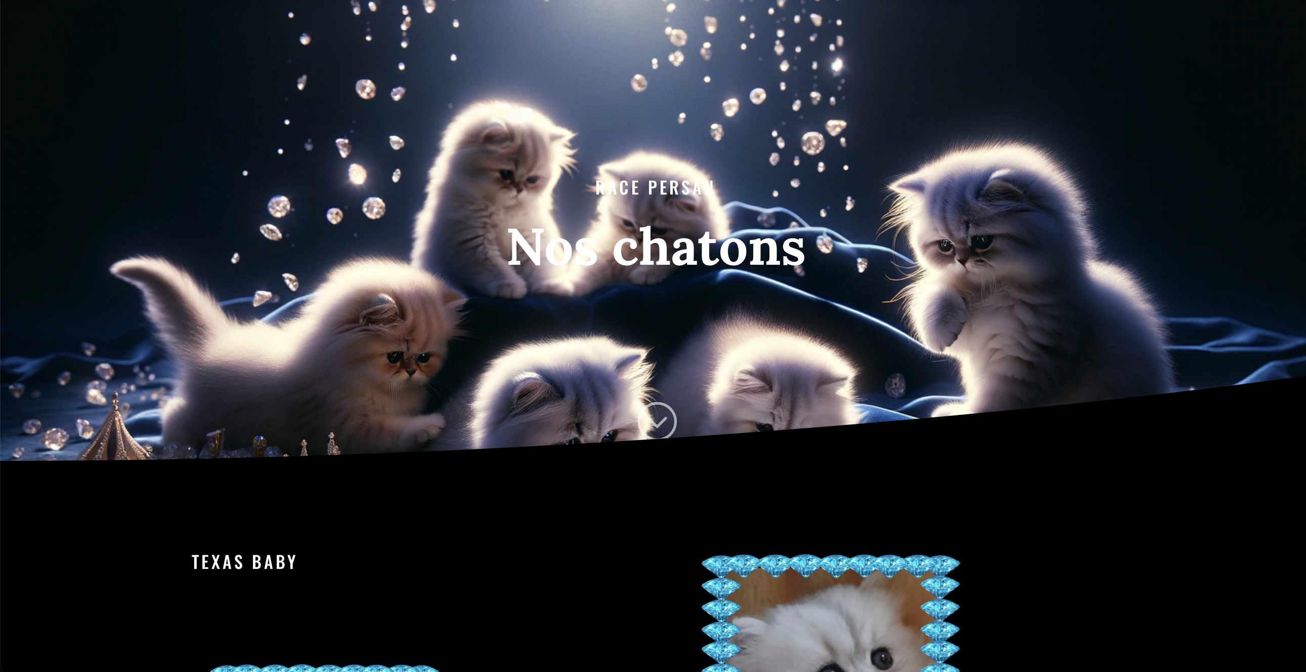 Site Web pour l'Élevage Félin Les Diamants du Royaume - Image 2